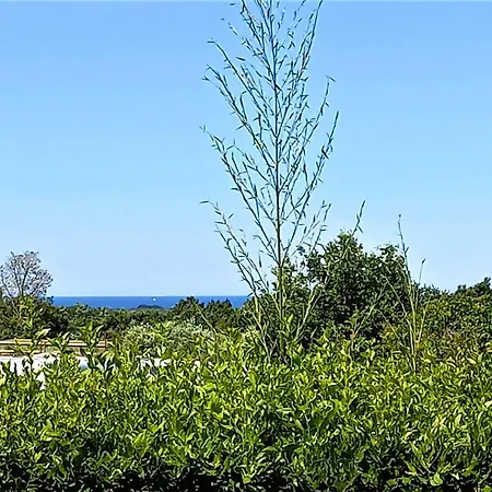 Casa B Mit Meerblick Und Pool Villa Tar-Vabriga